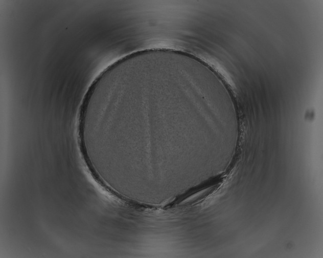 X0000089750991200707121337