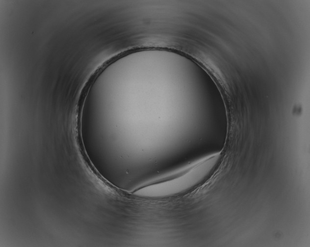 X0000089750992200707121337