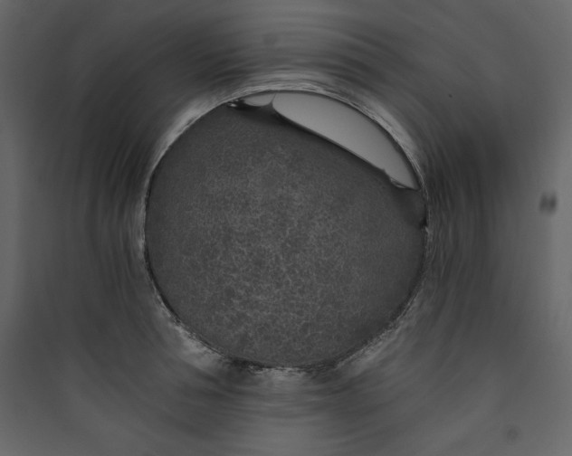 X0000089750994200707121337