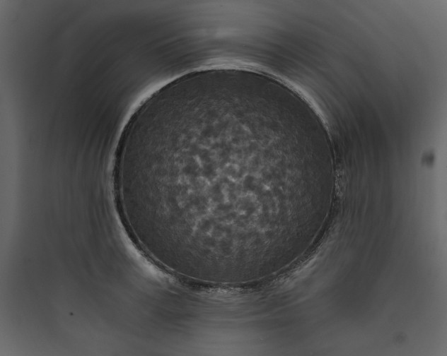 X0000089750995200707121337