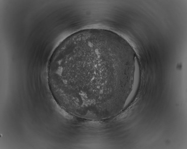 X0000089750998200707121337