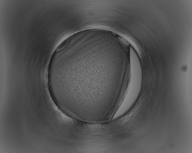 X0000089750999200707121337