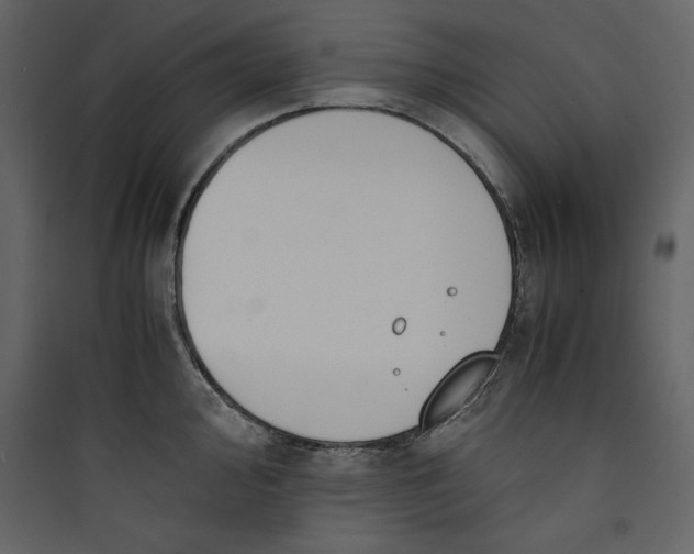 X0000089751000200707121337