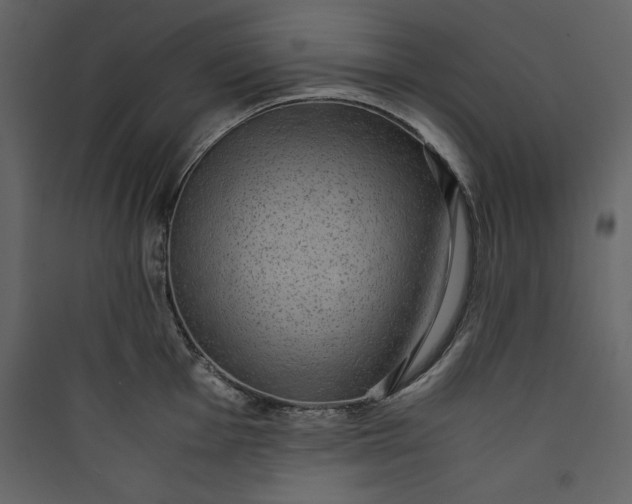 X0000089751001200707121337