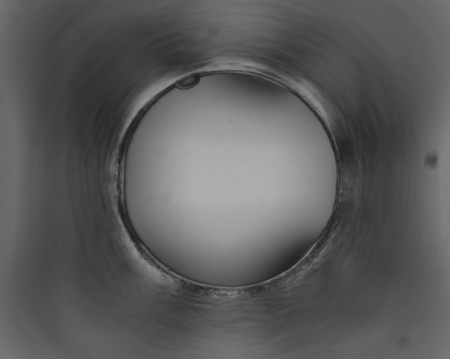 X0000089751003200707121337