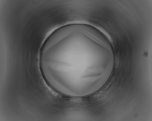 X0000089751006200707121337