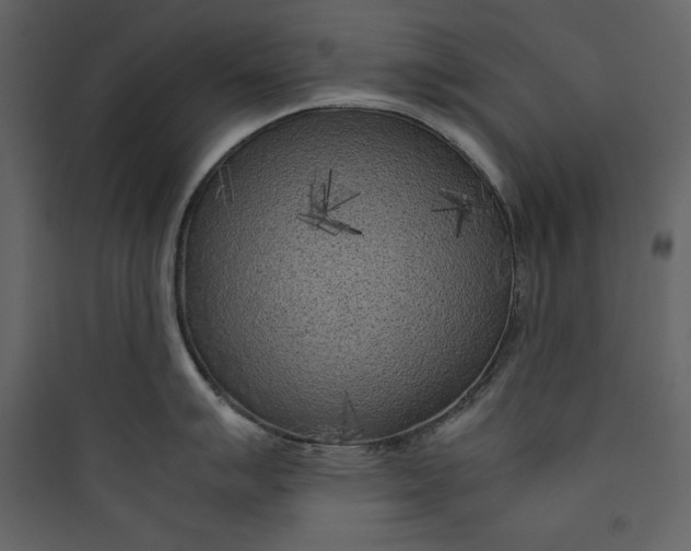 X0000089751007200707121337