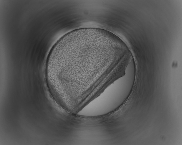 X0000089751008200707121337