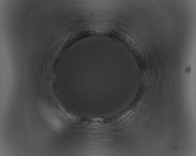 X0000089751009200707121337