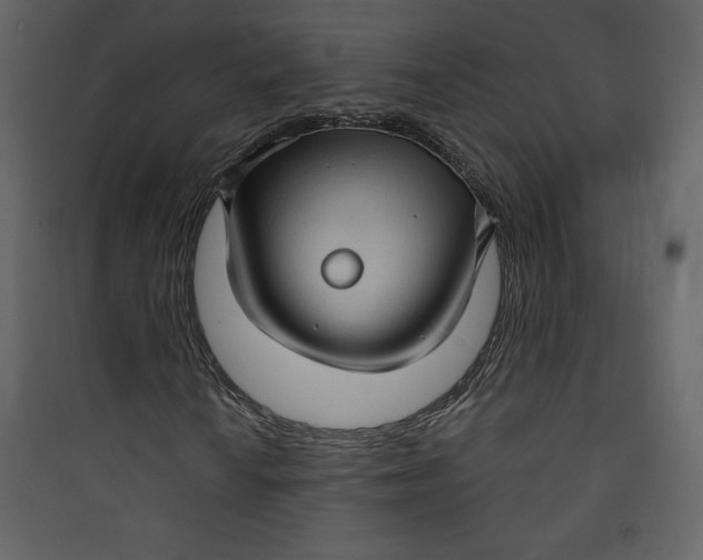 X0000089751010200707121337