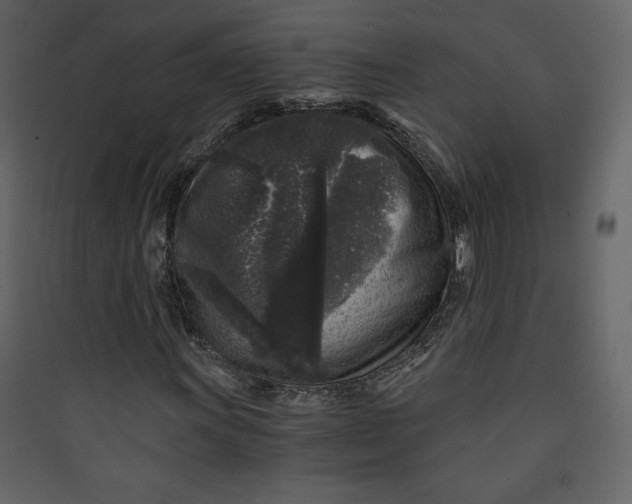 X0000089751011200707121337