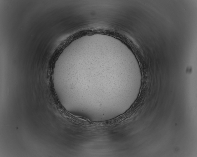 X0000089751016200707121337