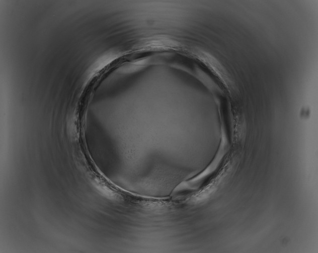 X0000089751018200707121337