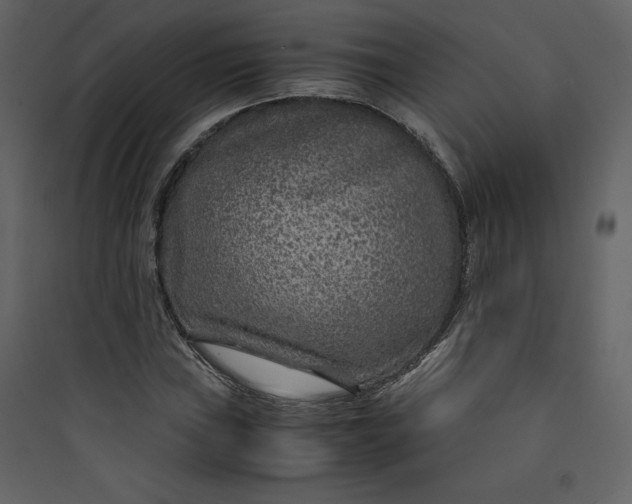 X0000089751019200707121337