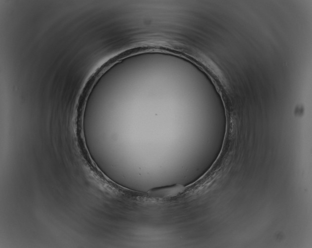 X0000089751020200707121337