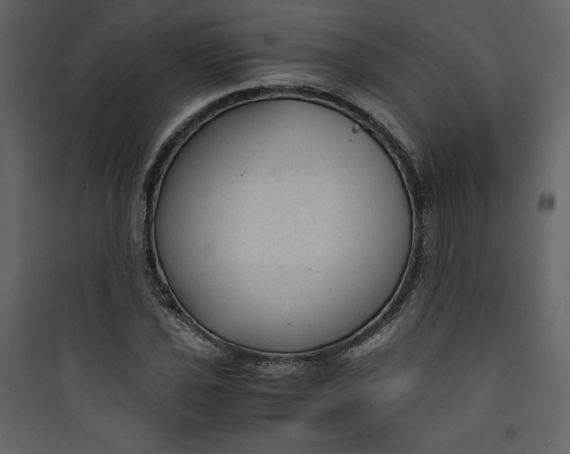 X0000089751021200707121337