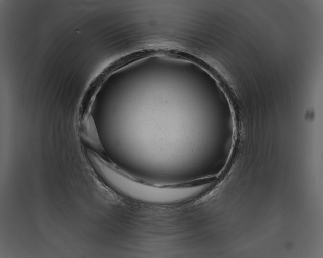 X0000089751022200707121337