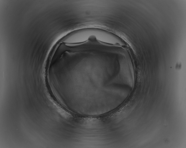 X0000089751024200707121337