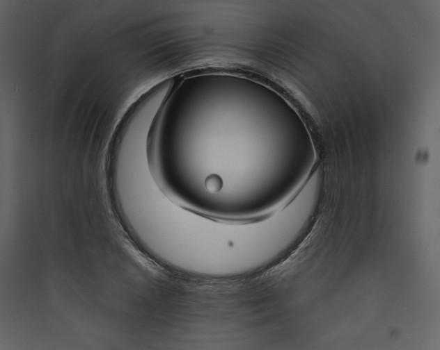 X0000089751026200707121337