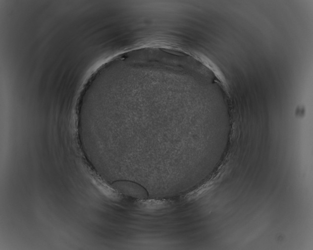 X0000089751027200707121337