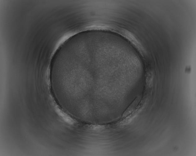 X0000089751030200707121337