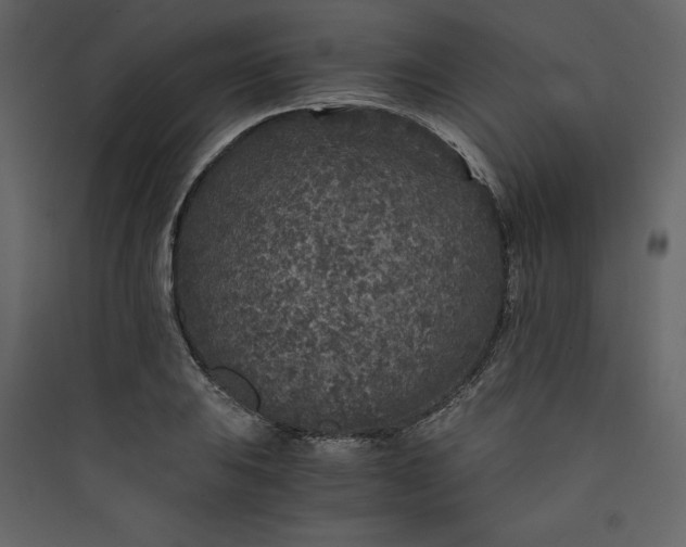 X0000089751031200707121337