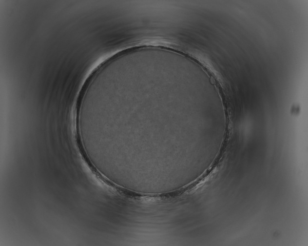 X0000089751032200707121337