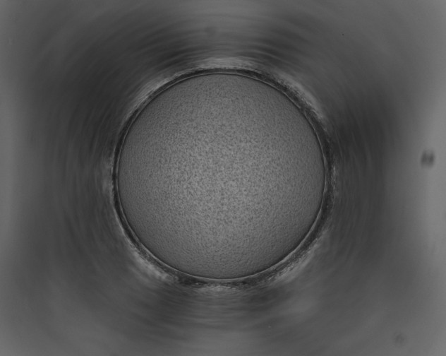 X0000089751033200707121337