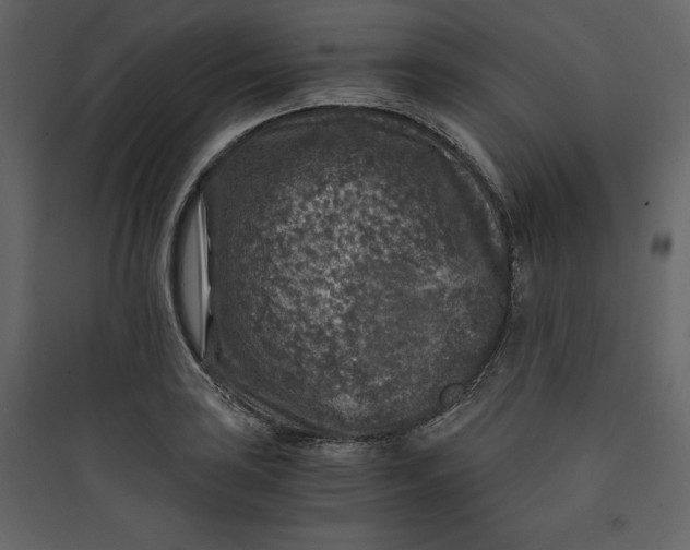 X0000089751035200707121337