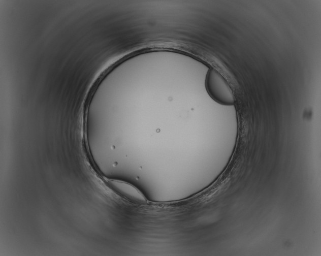 X0000089751036200707121337