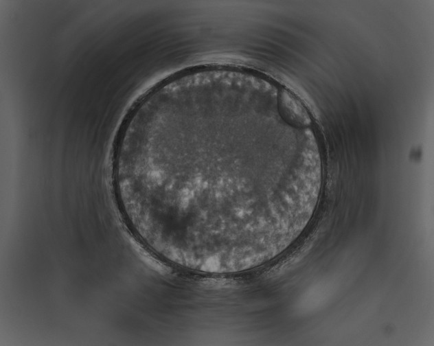 X0000089751037200707121337