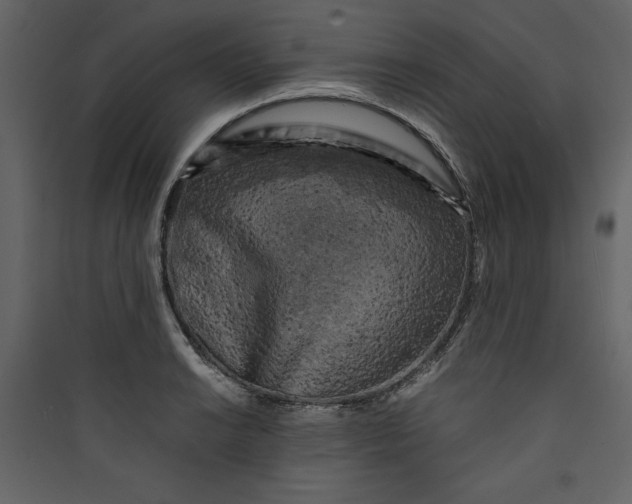 X0000089751038200707121337