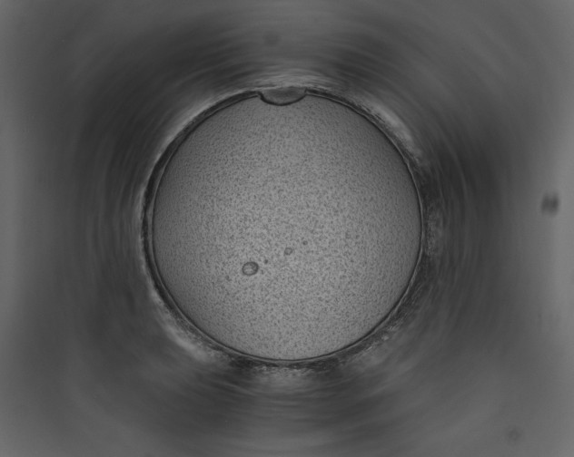 X0000089751039200707121337