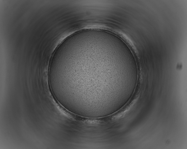 X0000089751041200707121337