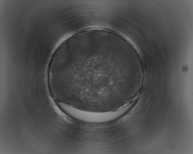 X0000089751042200707121337