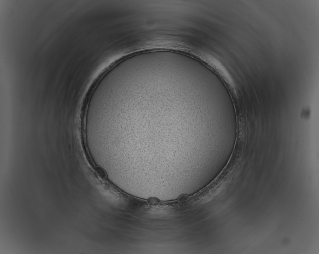 X0000089751043200707121337