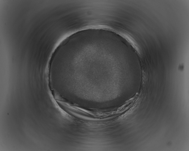 X0000089751046200707121337