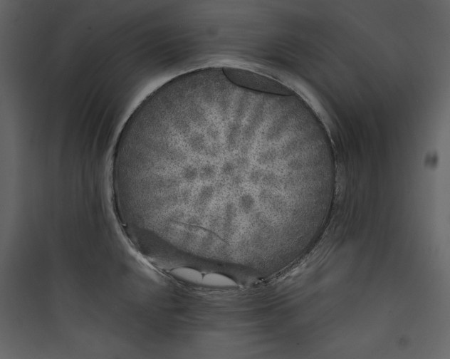 X0000089751048200707121337