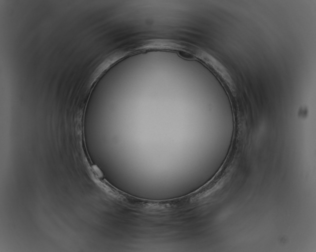 X0000089751049200707121337