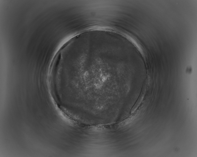 X0000089751050200707121337