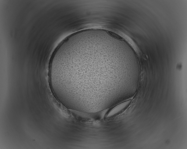 X0000089751051200707121337