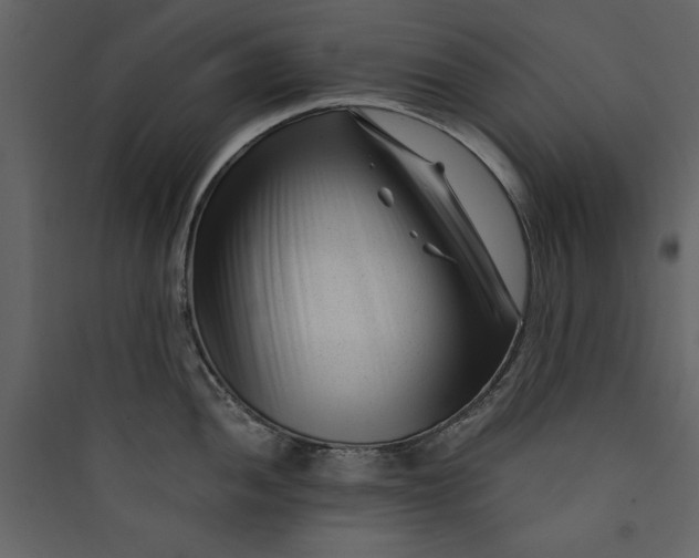 X0000089751052200707121337