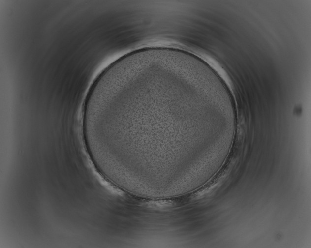 X0000089751053200707121337