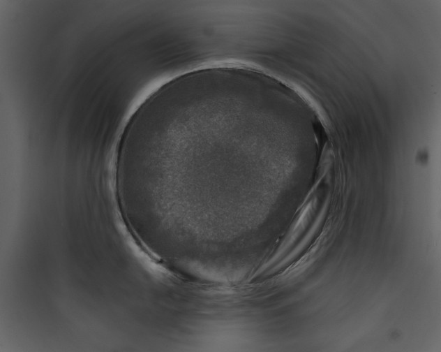 X0000089751054200707121337