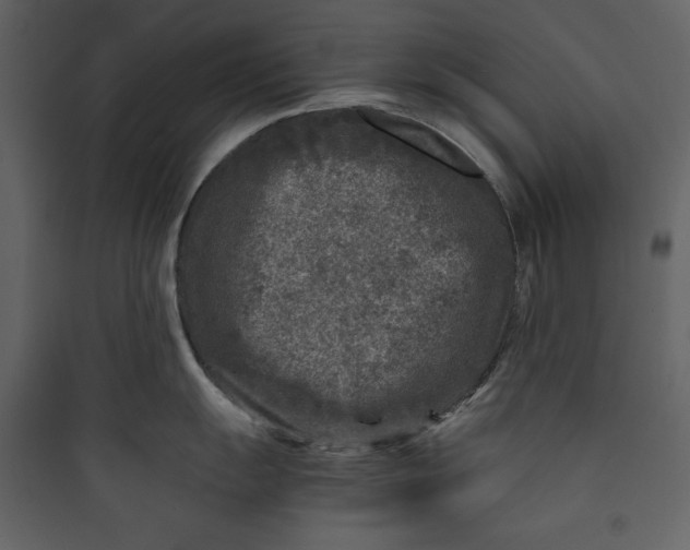 X0000089751055200707121337