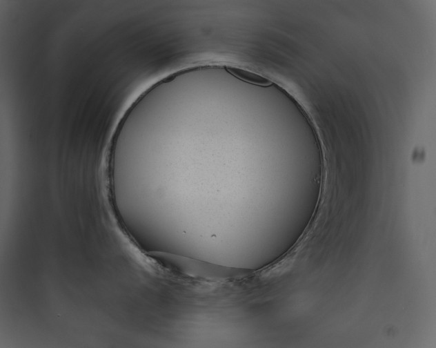 X0000089751056200707121337