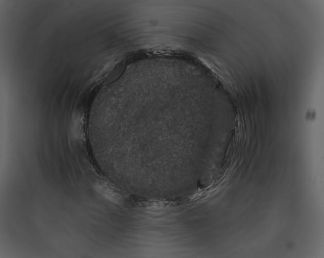 X0000089751060200707121337