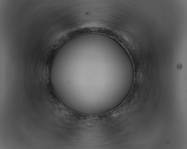 X0000089751062200707121337