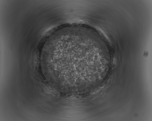 X0000089751063200707121337