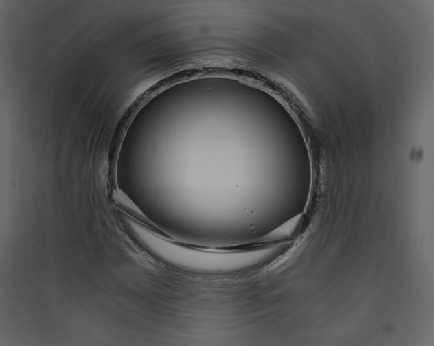 X0000089751065200707121336